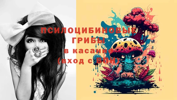 прущие крисы Алзамай