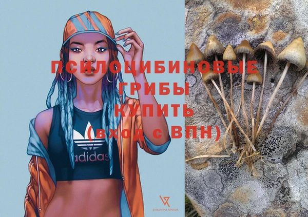 винт Алексеевка