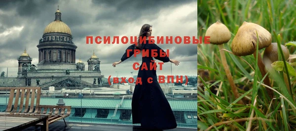 прущие крисы Алзамай
