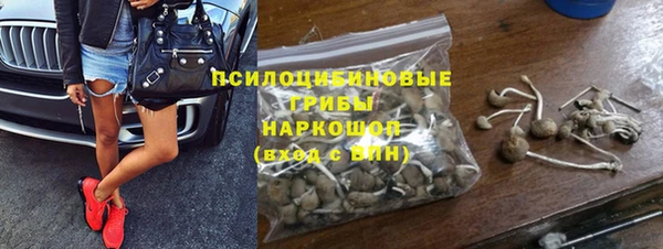 прущие крисы Алзамай