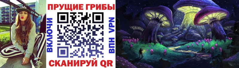 где купить наркотик  Апрелевка  Галлюциногенные грибы мухоморы 