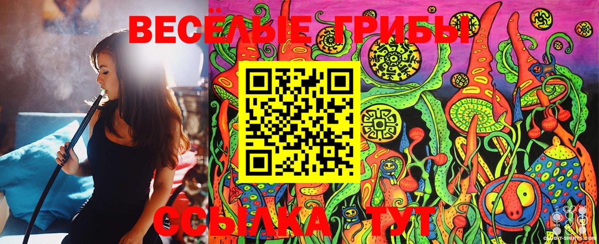Галлюциногенные грибы Cubensis Апрелевка